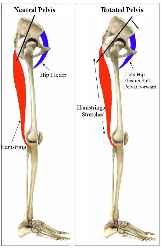 The Best Hamstring Stretches for Sore or Tight Hamstrings
